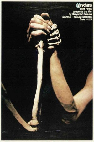 The Constant Factor Poster