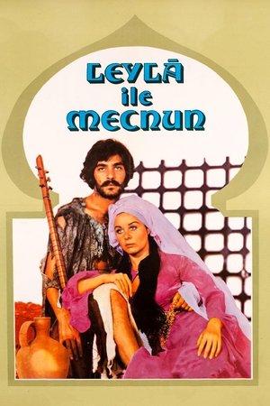 Leyla ile Mecnun Poster