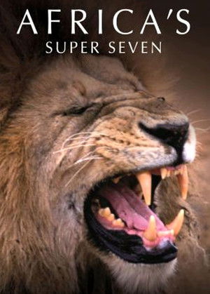 Africa's Super Seven Poster
