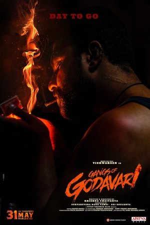 Gangs of Godavari Poster