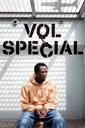 Special Flight Poster