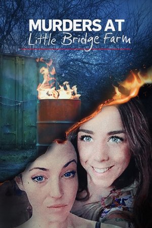 Murders at Little Bridge Farm Poster