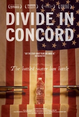 Divide In Concord Poster