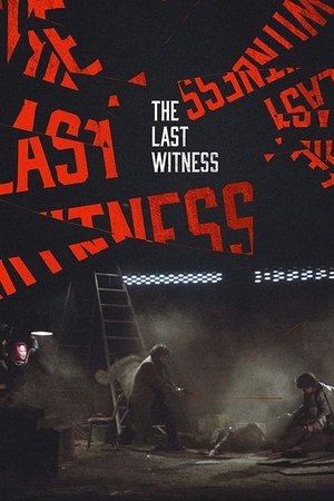 The Last Witness Poster