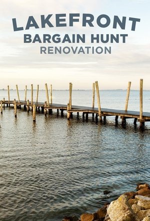 Lakefront Bargain Hunt Renovation Poster