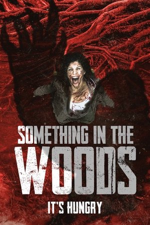 Something in the Woods Poster