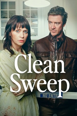Clean Sweep Poster