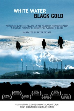 White Water Black Gold Poster