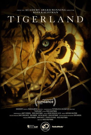 Tigerland Poster