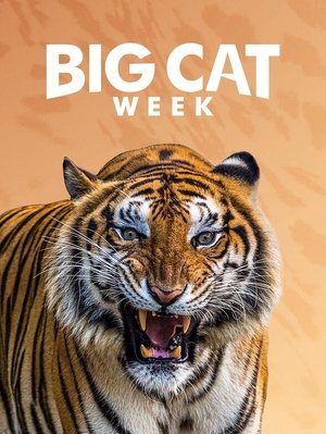 Big Cat Diary Poster