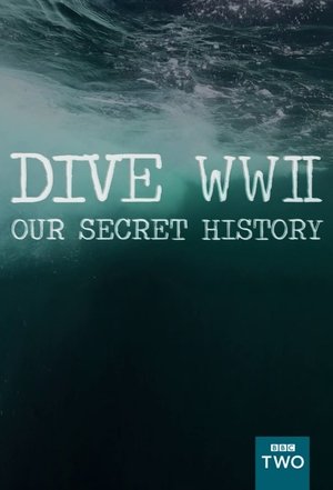 Dive WWII: Our Secret History Poster