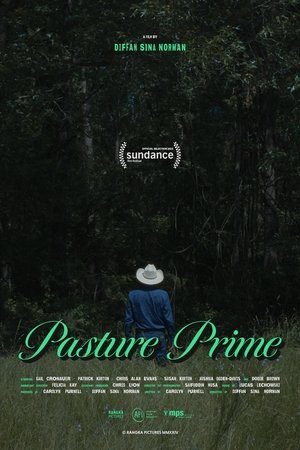Pasture Prime Poster