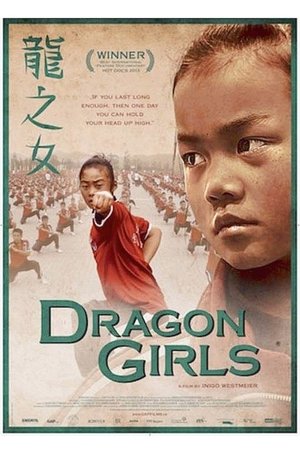 Dragon Girls Poster