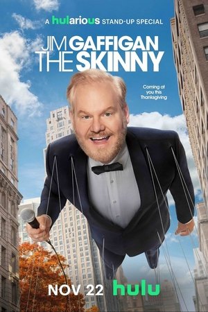 Jim Gaffigan: The Skinny Poster