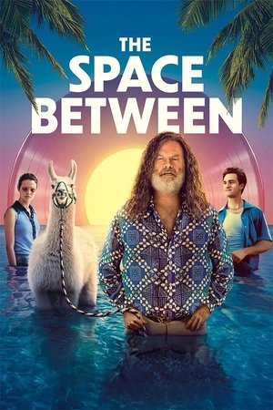 The Space Between Poster