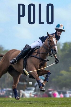 Polo Poster