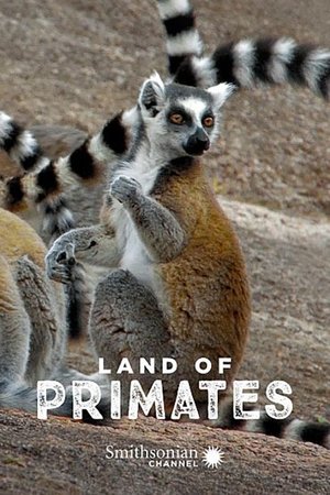 Land of Primates Poster