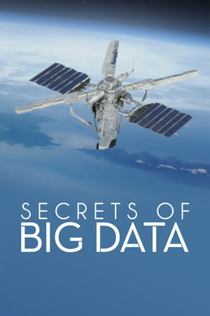 Secrets of Big Data Poster