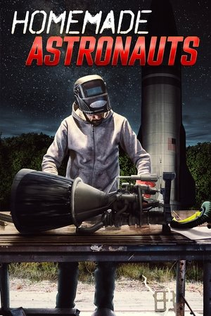 Homemade Astronauts Poster