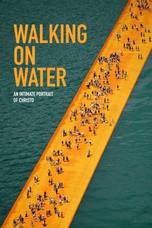 Walking on Water Poster