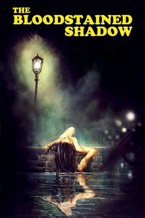The Bloodstained Shadow Poster