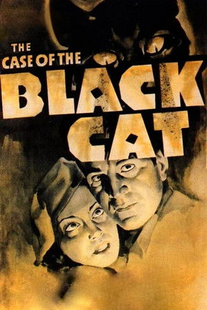 The Case of the Black Cat Poster