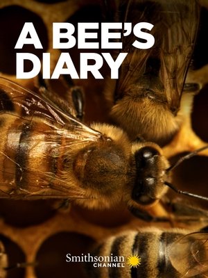 A Bee's Diary Poster
