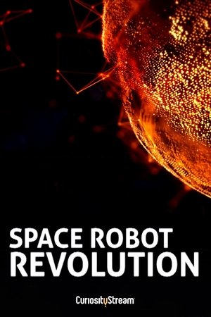 Space Robot Revolution Poster