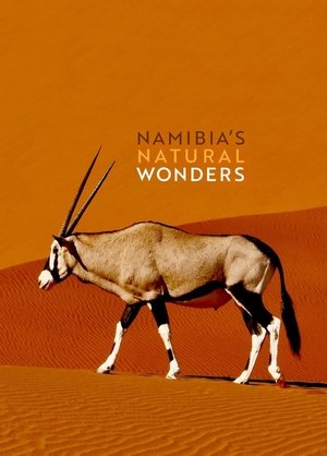 Namibia's Natural Wonders Poster