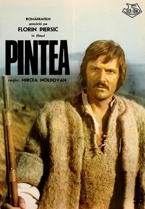 Pintea Poster