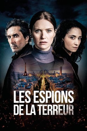 Les espions de la terreur Poster