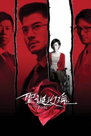 Christmas Rose Poster