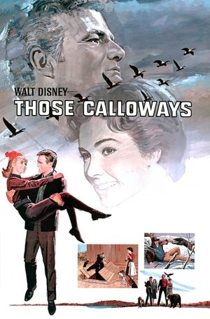 Those Calloways Poster