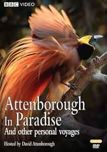 Attenborough in Paradise Poster